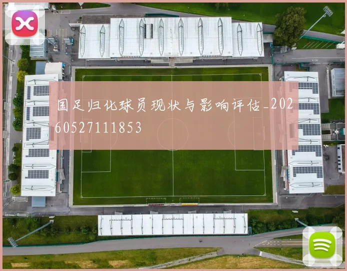国足归化球员现状与影响评估_20260527111853